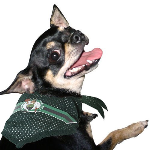 NBA Boston Celtics Kelly Green Mesh Small Pet Bandana (Small/Medium)