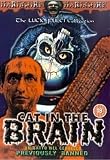 Gatto nel cervello, Un