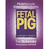 photo manual  dissection guide of the fetal pig with sheep heart brain eye
