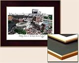 University of Florida, The Swamp Collegiate Laminated Framed Collegiate 18x14 Lithograph