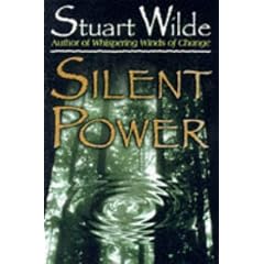 Silent Power (Taschenbuch)