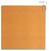 SANYO �z�b�g�J�[�y�b�g SYC-FB22(X)