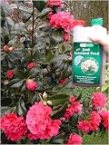 SEAWEED FEED - 5 LITRE