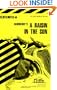 Raisin in the Sun (Cliffs Notes)