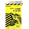 Raisin in the Sun (Cliffs Notes)