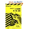 CliffsNotes on Hansberry's A Raisin in the Sun (Cliffsnotes Literature Guides)