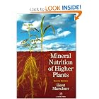 Click here to buy Marschner's Mineral Nutrition of Higher Plants, Second Edition (Special... by Petra Marschner.