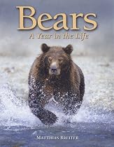 Bears: A Year in the Life