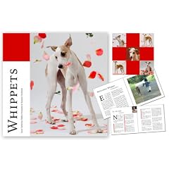 Whippets