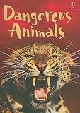 Dangerous Animals (Usborne Beginners)