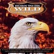Born to Be Wild: 16 Rock Classics