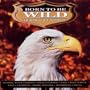 Born to Be Wild