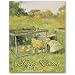 Looking at the Chicks - Easter Gift Enclosure Cards (set of 12)