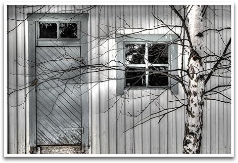 Door Window Birch Fine Art Photographic print