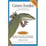 Green Anoles: From the Experts at Advanced Vivarium Systems