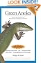 Green Anoles: From the Experts at Advanced Vivarium Systems