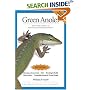 Green Anoles: From the Experts at Advanced Vivarium Systems
