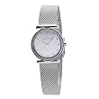 Skagen Womens 108SSS1 Silver Dial Swarovski Elements Watch