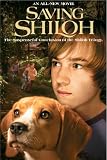 Shiloh 3: Saving Shiloh