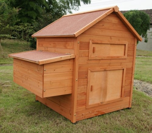 Chicken House (Chicken Coop)