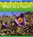 What Is a Plant? (World of Plants)