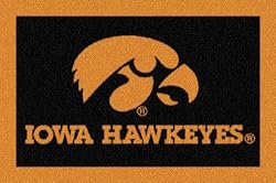 Iowa Hawkeyes 3' 10" x 5' 4" Team Spirit Area Rug