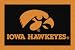 Iowa Hawkeyes 3' 10" x 5' 4" Team Spirit Area Rug