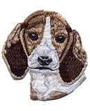 Beagle Dog Patch