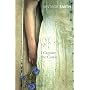 I Capture the Castle (Vintage Classics)