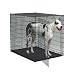 Pet Supplies : MidWest 1154 Colossal Crate with Pan (Oversized)
