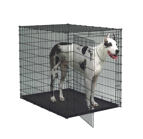 Childrens Toyshop  Pet Supplies : MidWest 1154 Colossal Crate with Pan (Oversized)
