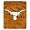 Texas Longhorns