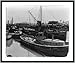 Historic Print (S): Fleet of rum craft confiscated by Customs Service, lying at Government dock at San Fraci
