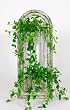 Distressed Green/White Window Planter with Artificial Mini Philo