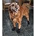 Ultra Paws TrAction Dog Boots - Large