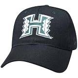 Zephyr Hawaii Rainbows DH Fitted Hat
