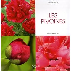Les pivoines