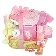 Newborn Baby Bassinet Baby Girl Gift Basket
