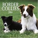 Border Collies Mini 2006 Calendar