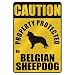 image 23 - CAUTION PROPERTY PROTECTED BY BELGIAN SHEEPDOG PARKING SIGN