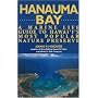 Hanauma Bay: A Marine Guide to Hawaii's Most Popular Nature Preserve