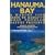 Hanauma Bay: A Marine Guide to Hawaii's Most Popular Nature Preserve