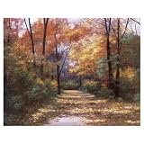 Autumn Road Canvas Art by Diane Romanello- 28.1x22.1