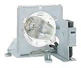 Electronics : InFocus - LCD projector lamp