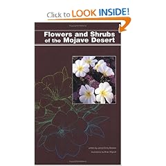 Flowers and Shrubs of the Mojave Desert