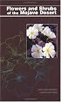 Flowers and Shrubs of the Mojave Desert