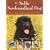 The Noble Newfoundland Dog: A History in Stories, Legends, and the Occasional Tall Tale