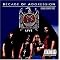 le big dossier metal-neo metal