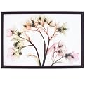 Hellebore 2