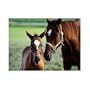 Melissa & Doug Mare and Foal 60 Piece Jigsaw Puzzle
